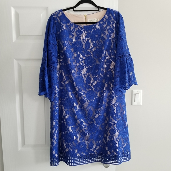 Eliza J Lace Overlay Dress in Cobalt - Picture 10 of 12